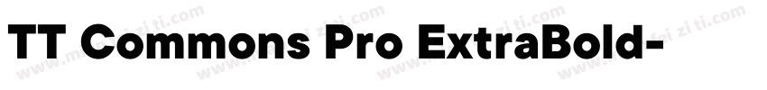 TT Commons Pro ExtraBold字体转换
